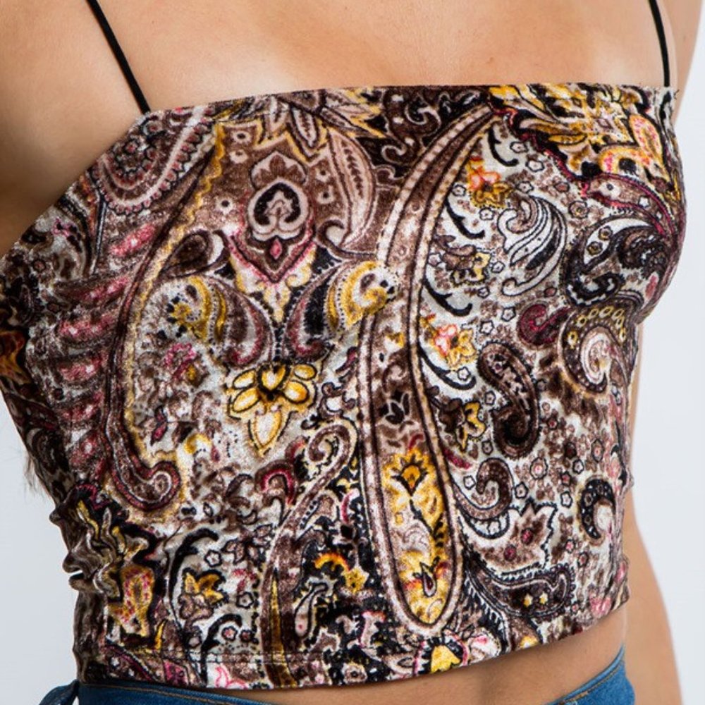❤️3/$20❤️ Bear Dance Sleeveless Paisley Printed Velvet Crop Top